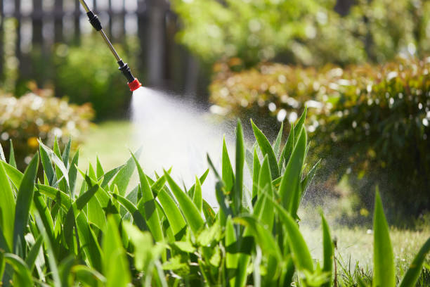 24/7 Emergency Mosquito Control experts in Onalaska, TX