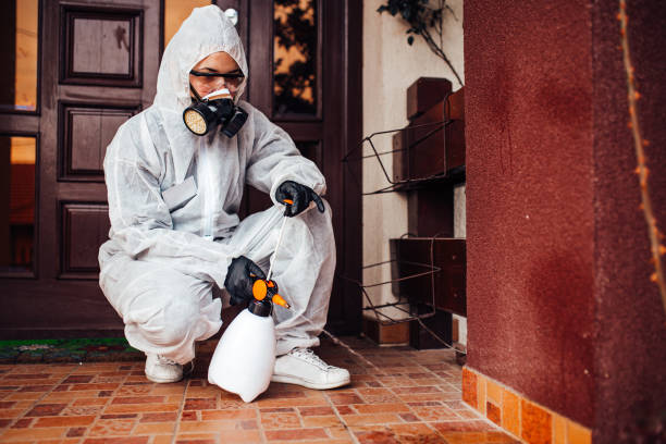 Reliable Mosquito Control contractor in Onalaska, TX by Show Me Pest Control