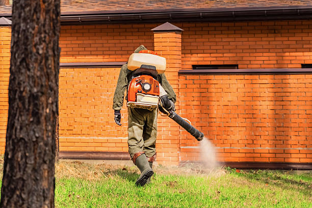 Top rated local Mosquito Control specialists in Onalaska, TX